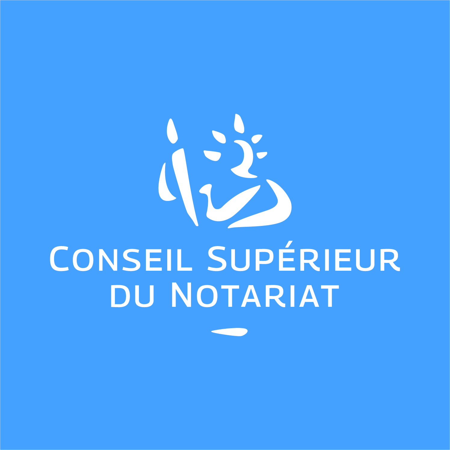 Logo CSN 2022